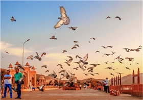 微信截圖_20170724155521.png 微信截圖_20170724155521.png